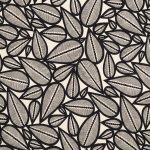 2325601 - Noir fond vanille