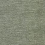 1293947 - Vert forêt