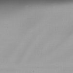 1526624 - Gris souris