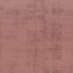 2125919 - Rose ancien