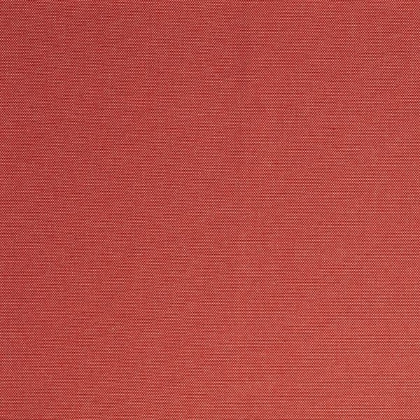 2342602 - Coral