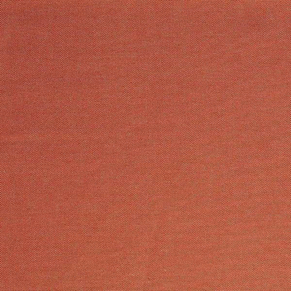 2342604 - Sienna