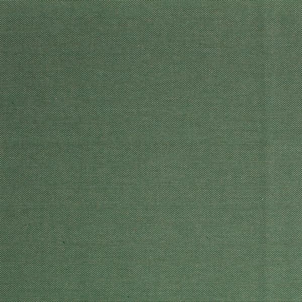 2342610 - Thyme