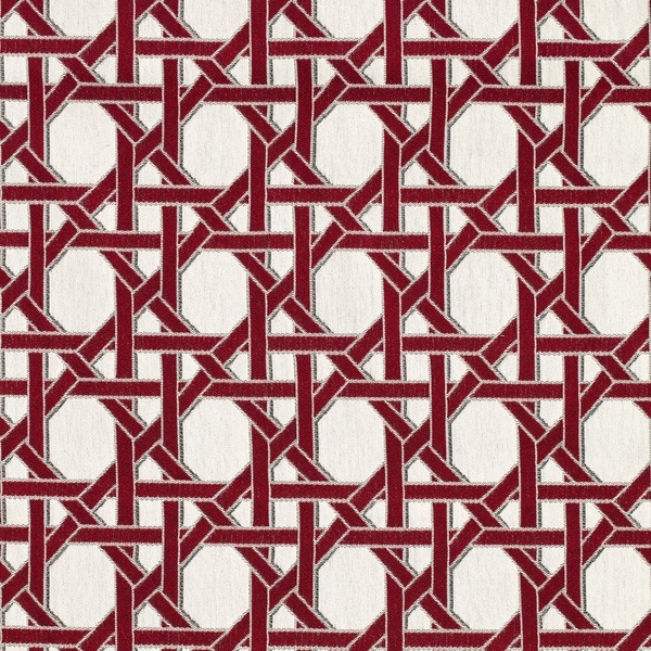 2343711 - Coral