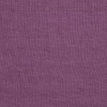 1529849 - Raisin
